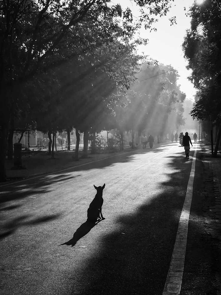 Sight from my mornings