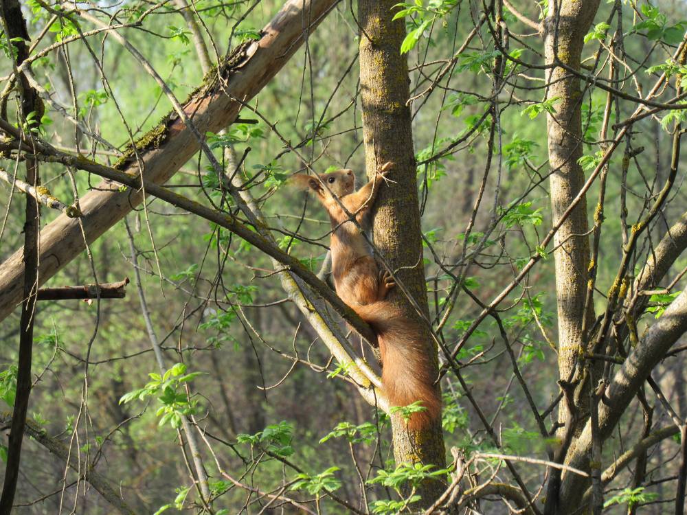 Photograph by Анна Кремешкова