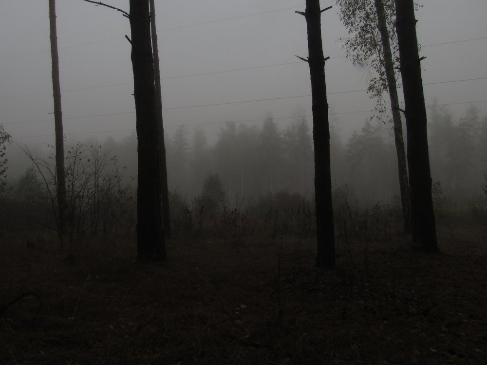 Photograph by Анна Кремешкова