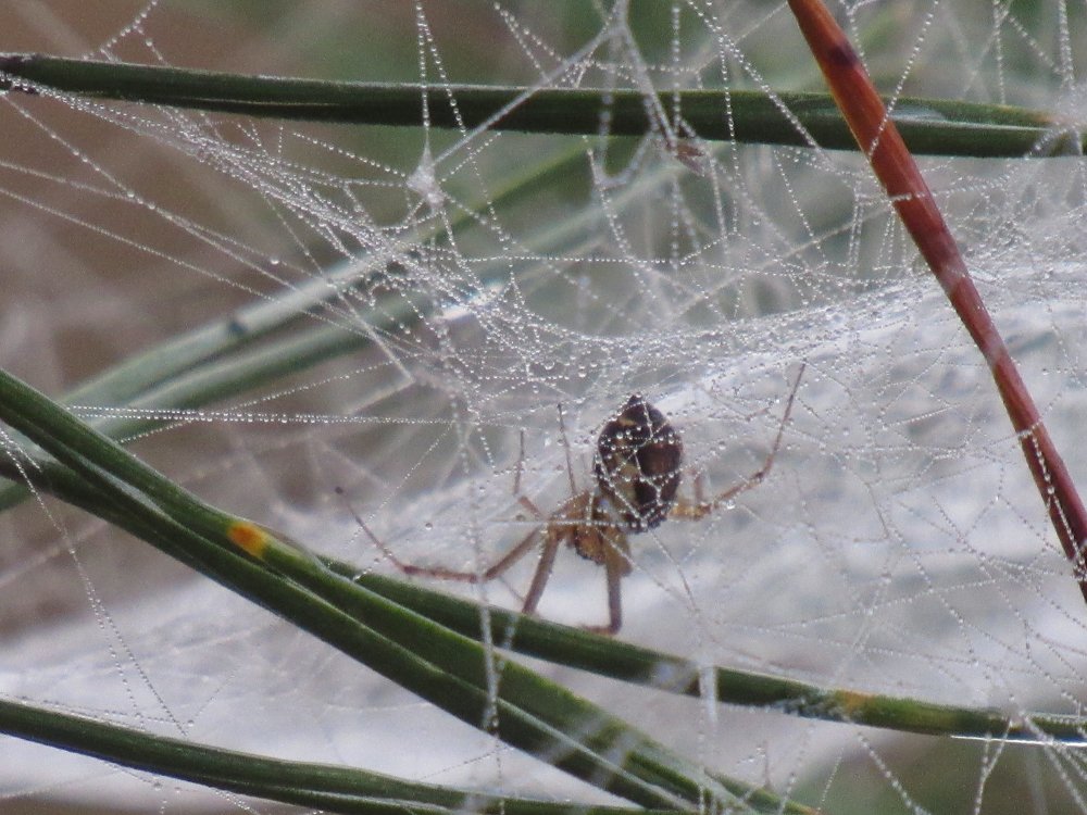 Photograph by Анна Кремешкова