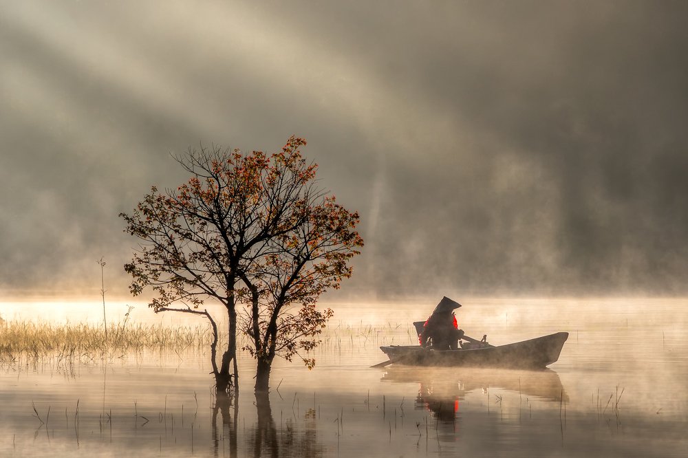Old man in the early morning fog