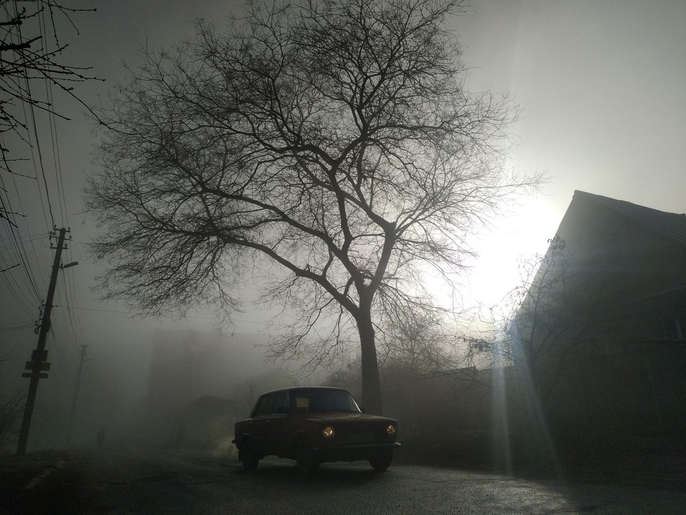 Photo #4724872