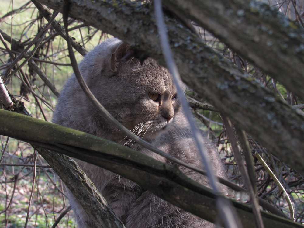 Photograph by Анна Кремешкова