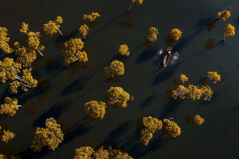 Morning in the autumn