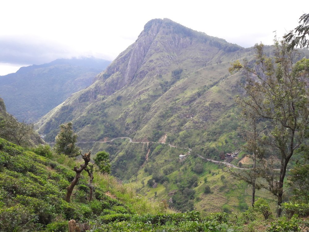 Photo #4724905