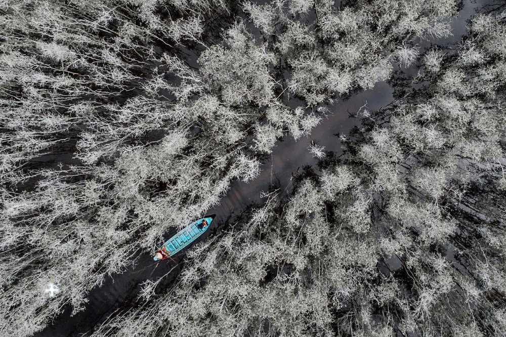 Photograph by Việt Hưng Bùi