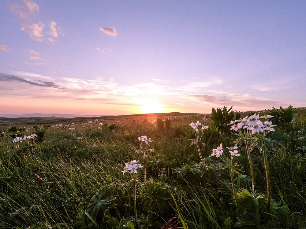 Photograph by Кристина Гареева