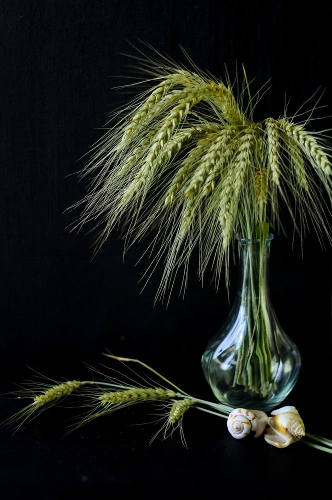 Photograph by Ирина Никульча