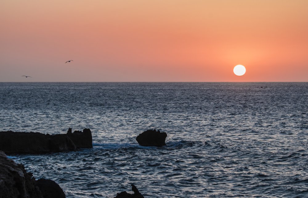 Photograph by Aissa Haffar