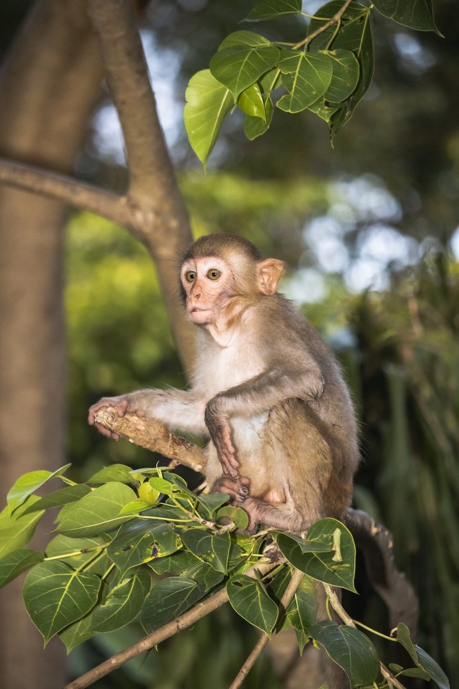 Photograph by Lê Trung Phùng
