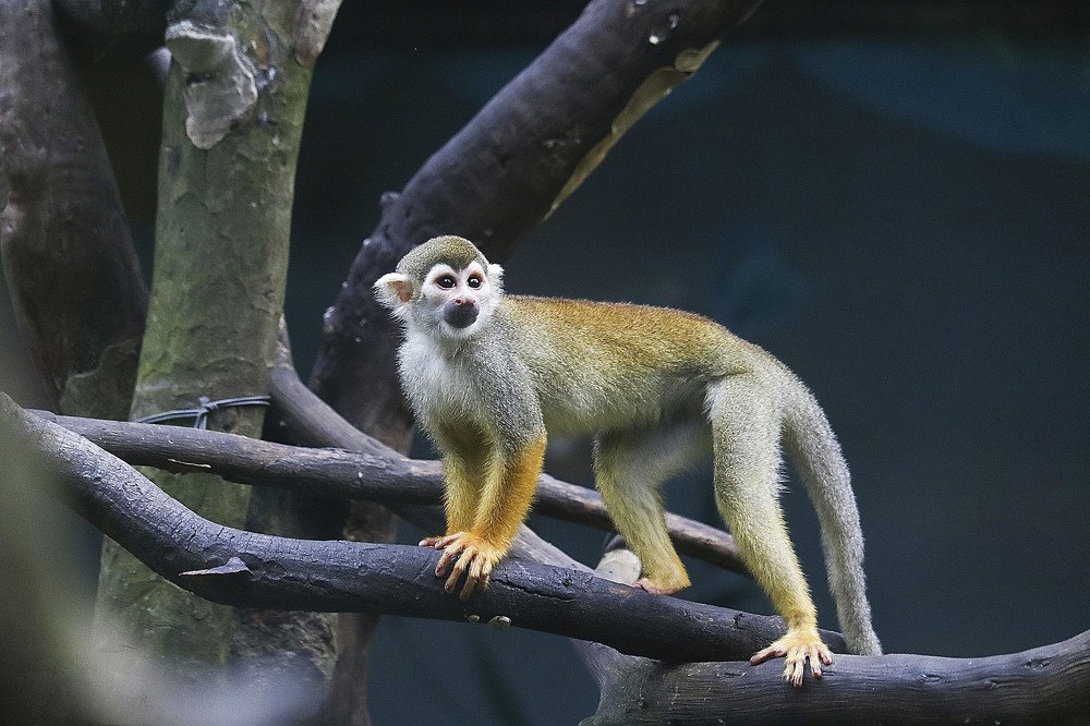 Photograph by Lê Trung Phùng