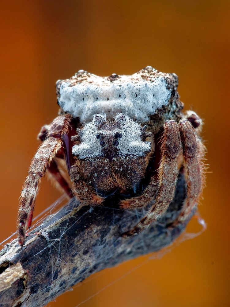 Photograph by Chuah Christopher