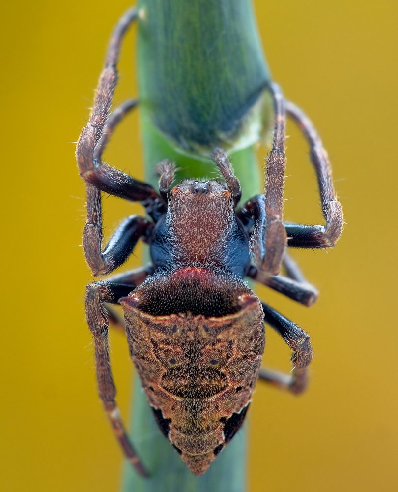 Photograph by Chuah Christopher