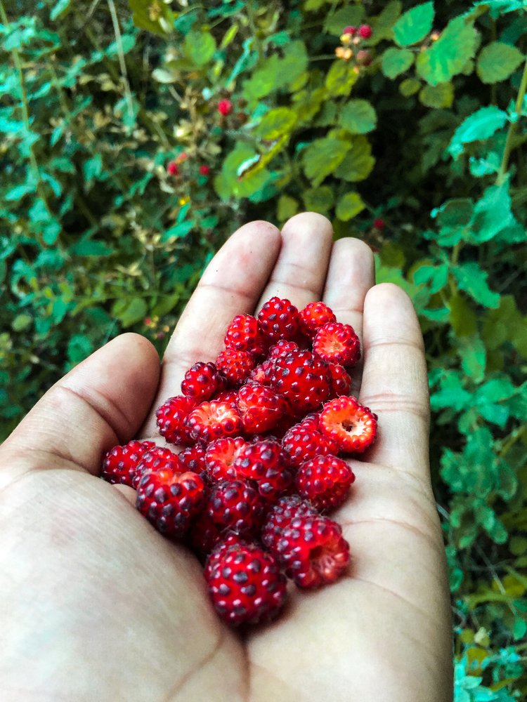 Photograph by Fiaz Ahmad