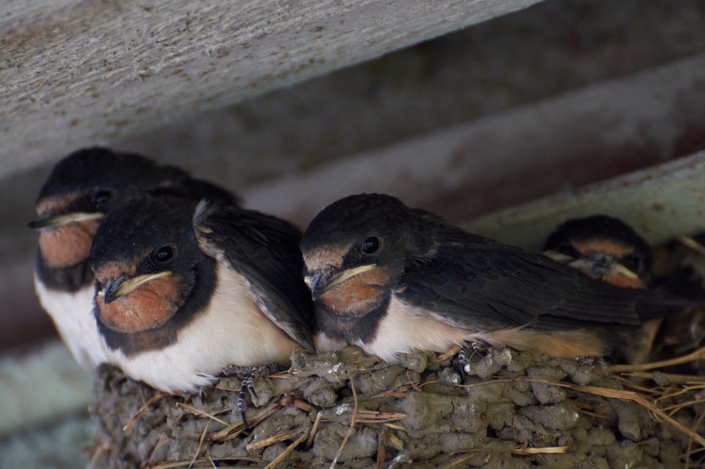 Photograph by Yaroslav