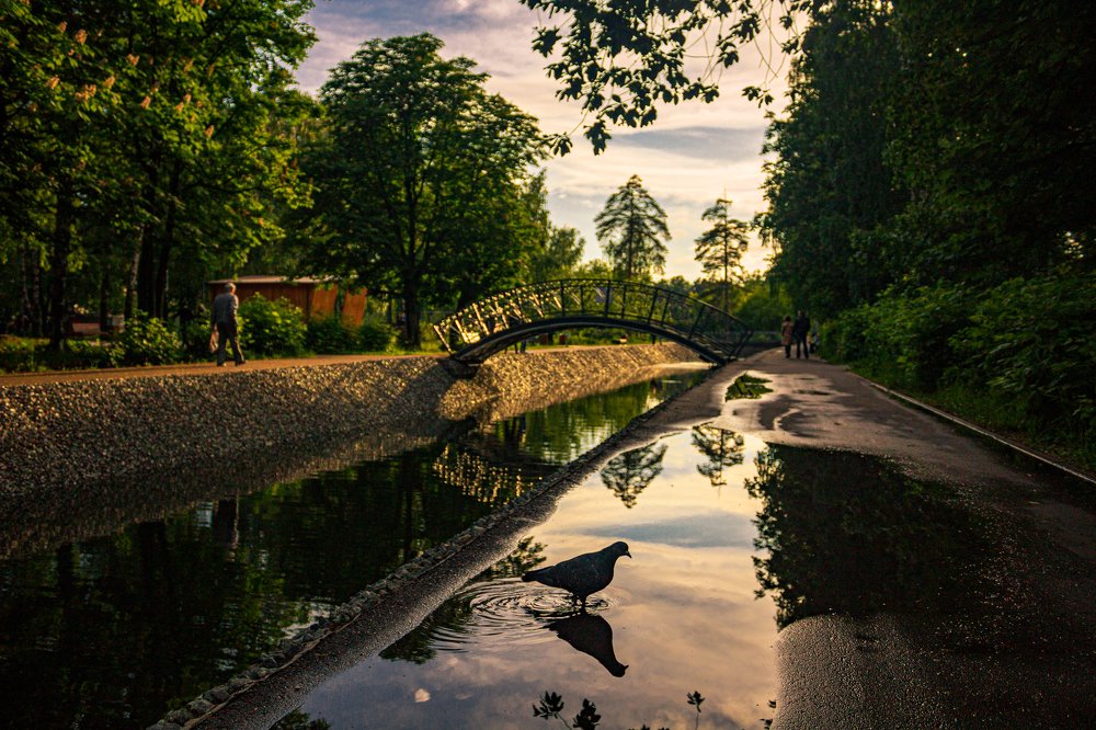 Photograph by Наталья Белова