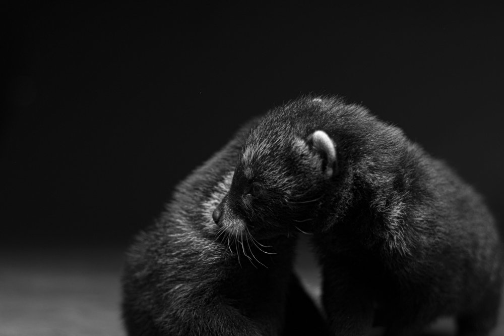 Photograph by Michael Nnitor