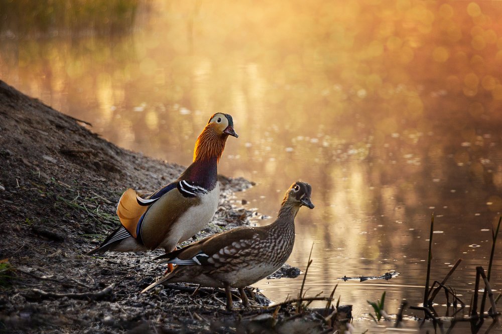 Photograph by Ольга Оверко