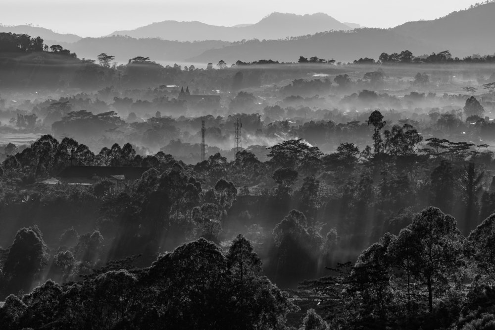 Waelengkas's Fog