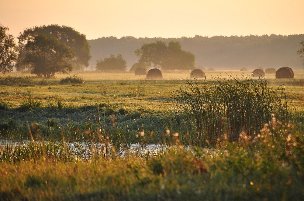 Раннее утро