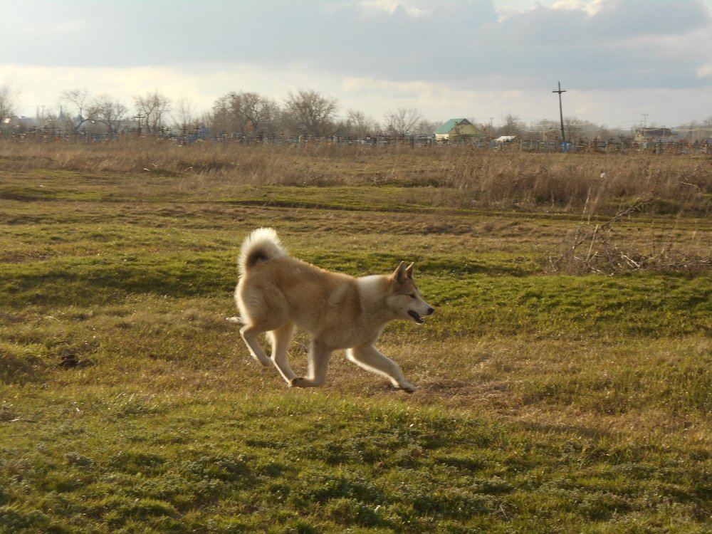 Photo #4725488