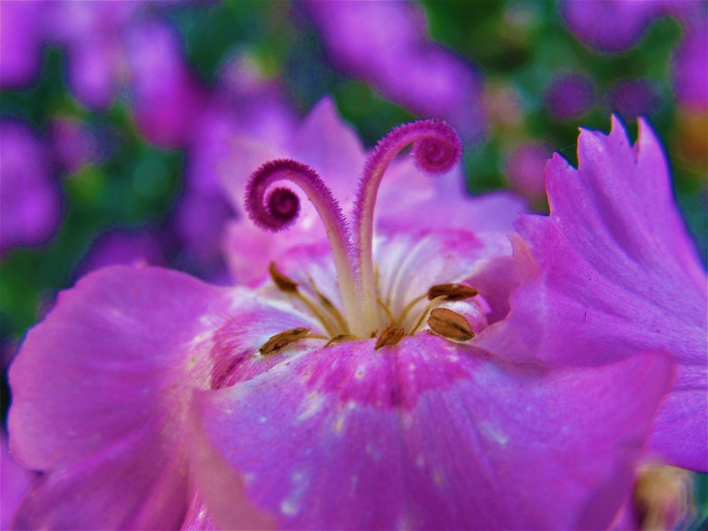 Photograph by Анна Кремешкова