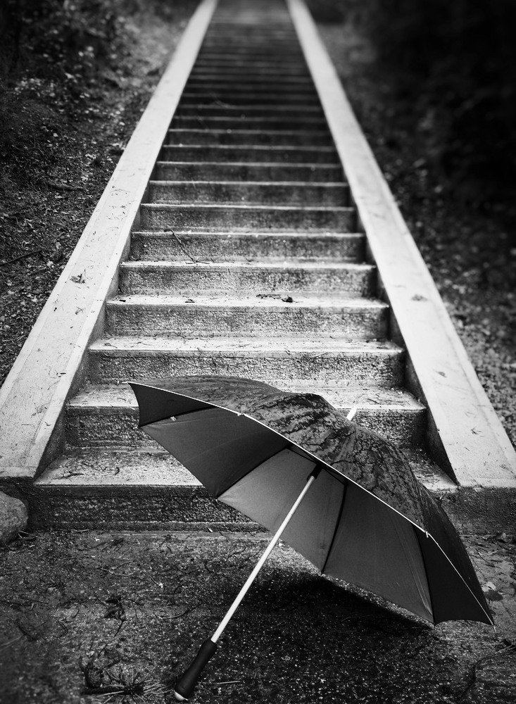 Photograph by Irina Magdalena Bivolaru