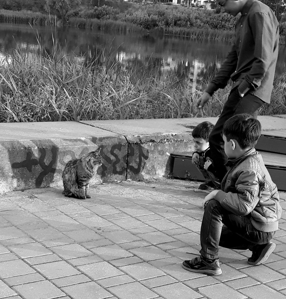 Photograph by 