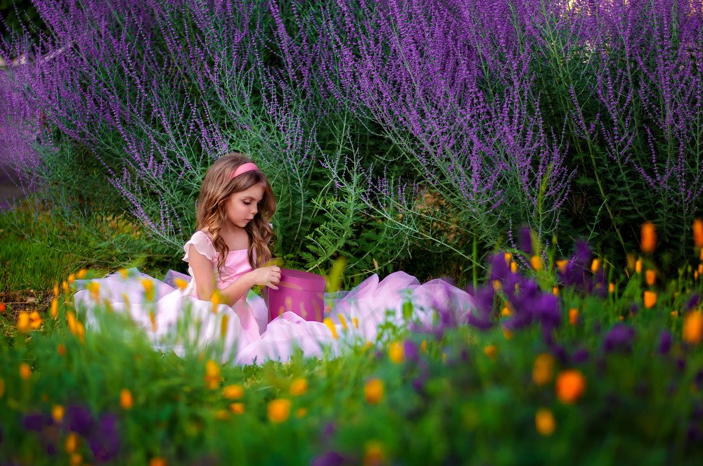 Фотография автора Наталья и Алексей Александровские