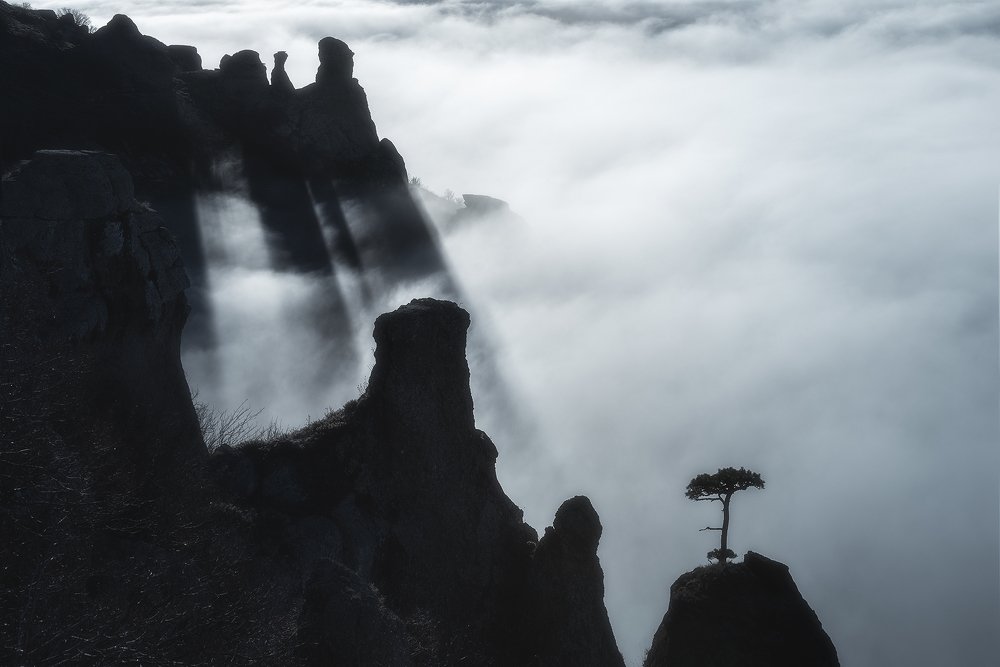 Photograph by Oleg Feofanov