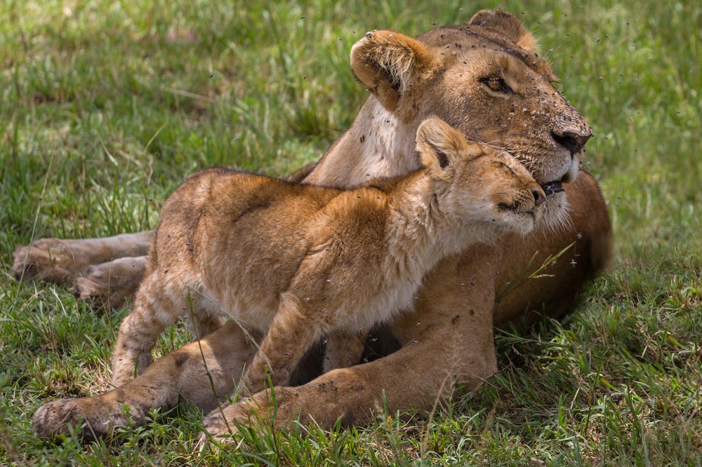 Photograph by Ольга Петруша