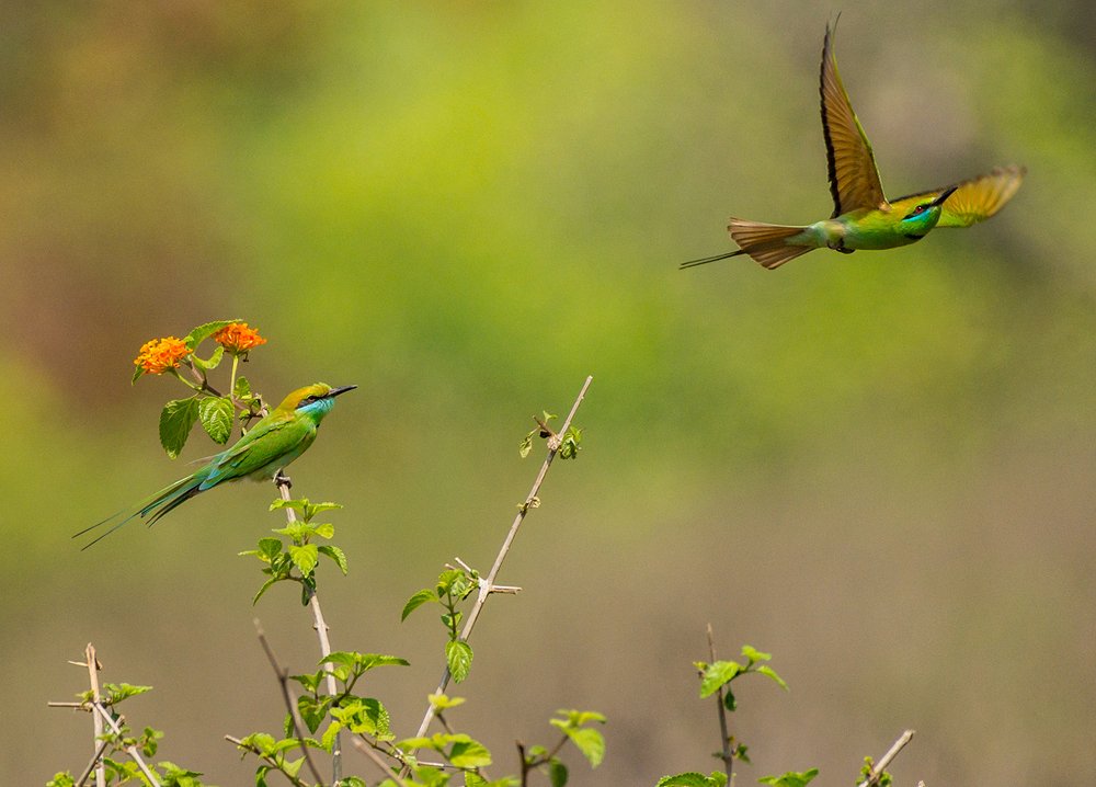 Photograph by sandip saha