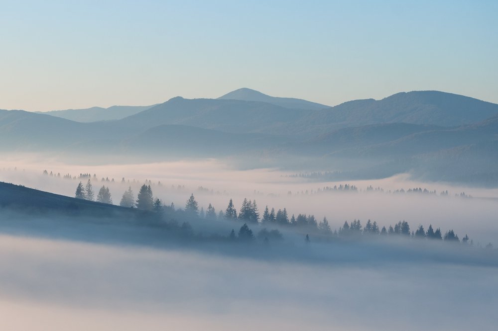 Photograph by Крицак Ольга