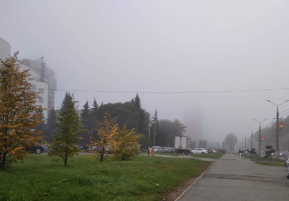 Photograph by Julia Zaroza