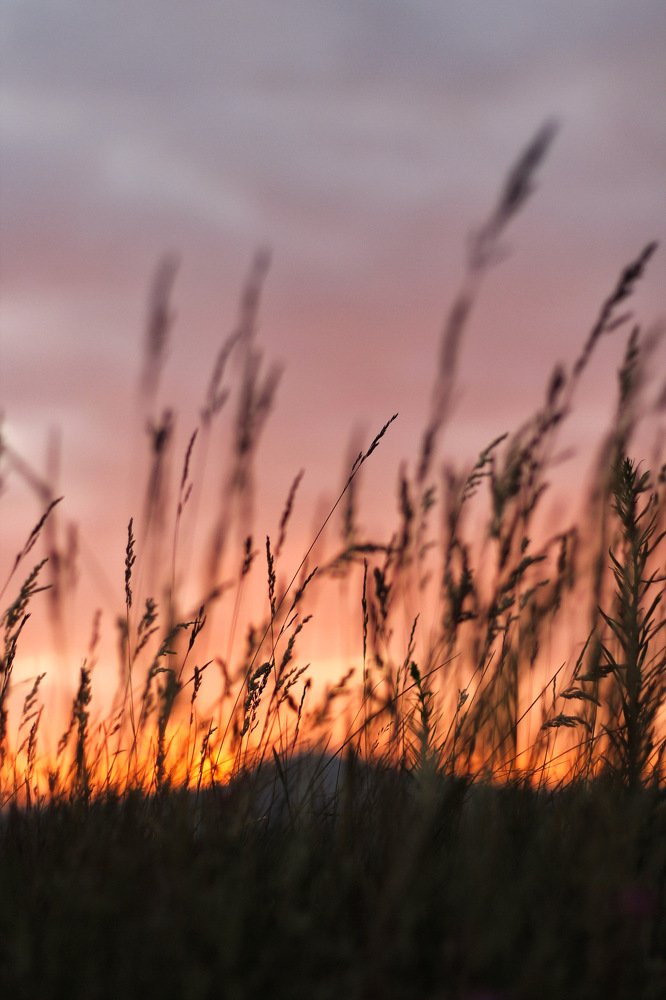 Photograph by Дарья Кузьминых