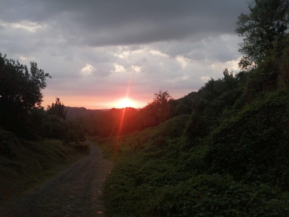 Photograph by EDY Maldonado