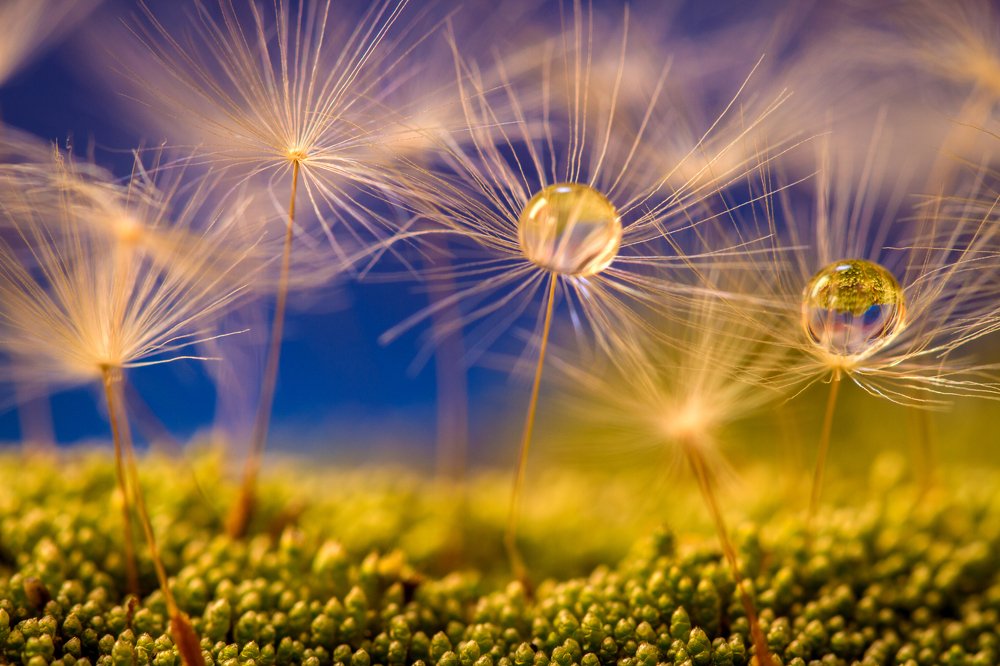 Photograph by Назим Оруджов