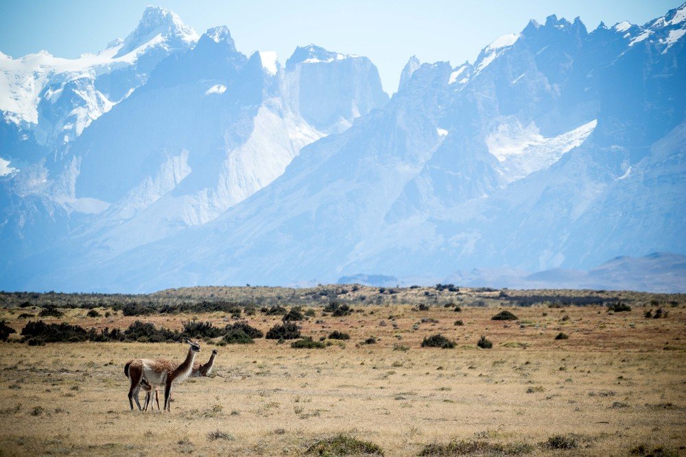 Photograph by Dmitry Skatov