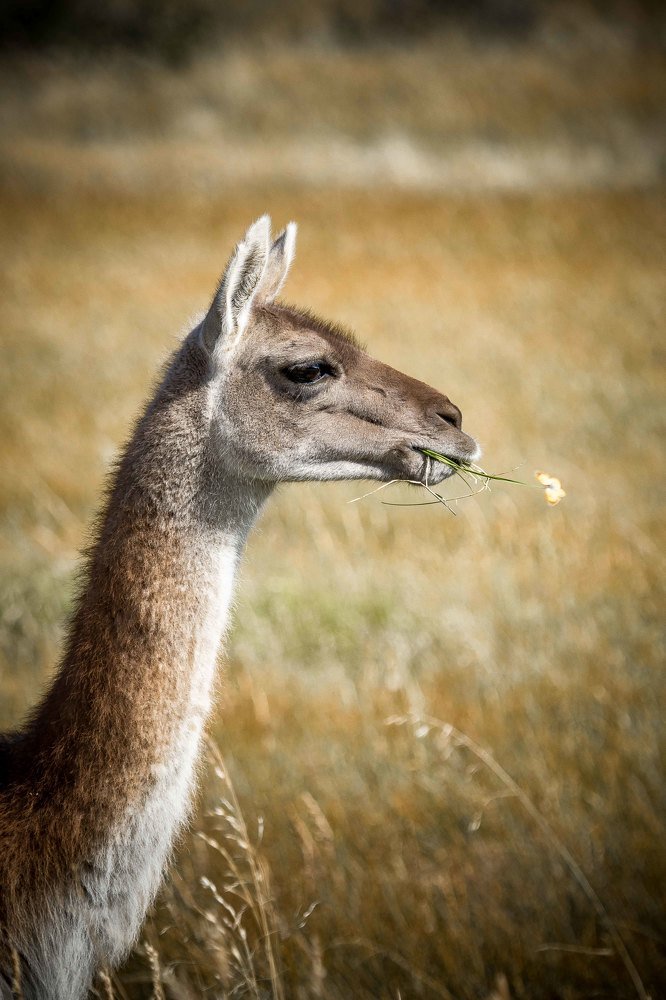 Photograph by Dmitry Skatov