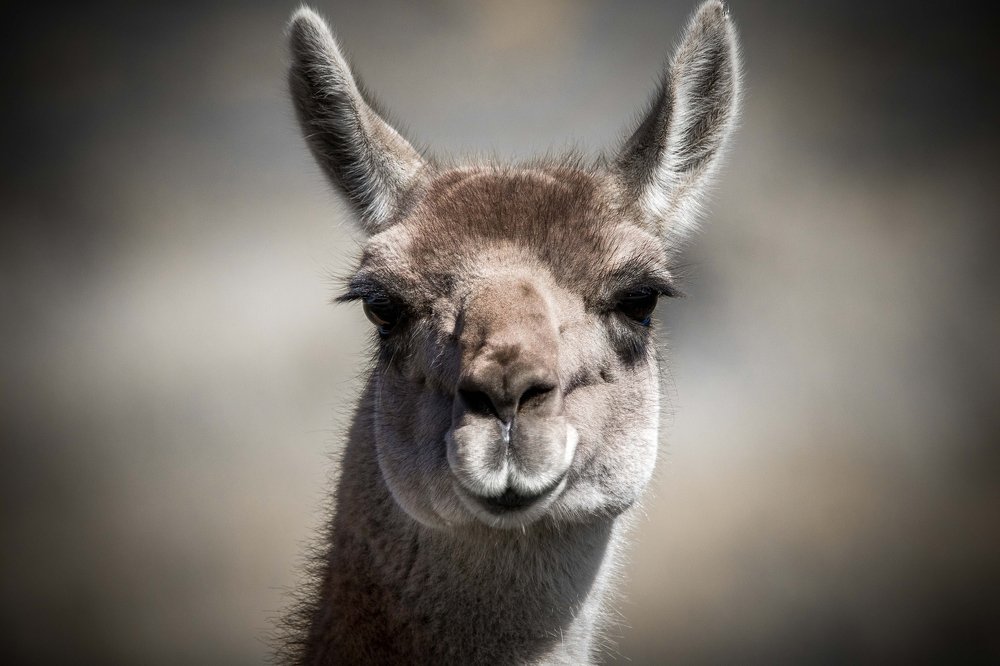 Photograph by Dmitry Skatov