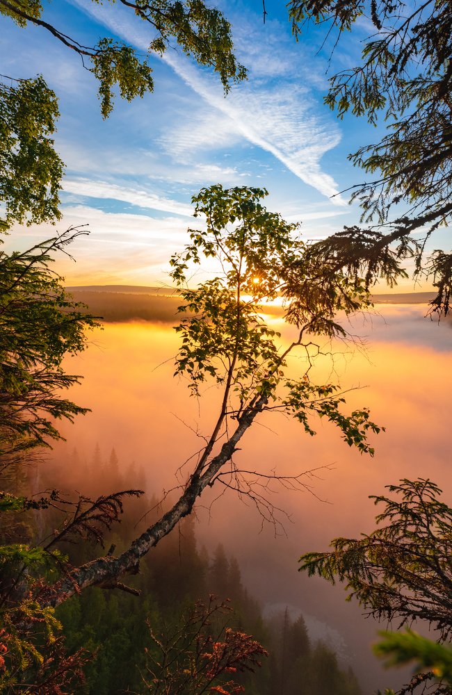 Photograph by Andrey Chuntomov