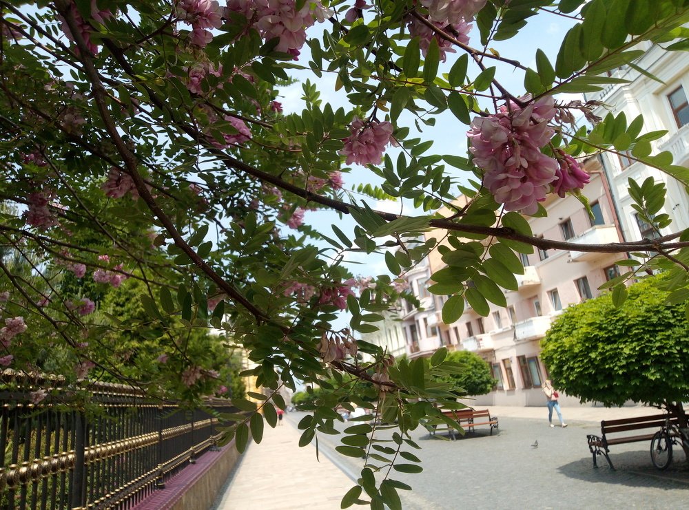 Photograph by Наталія Дронюк