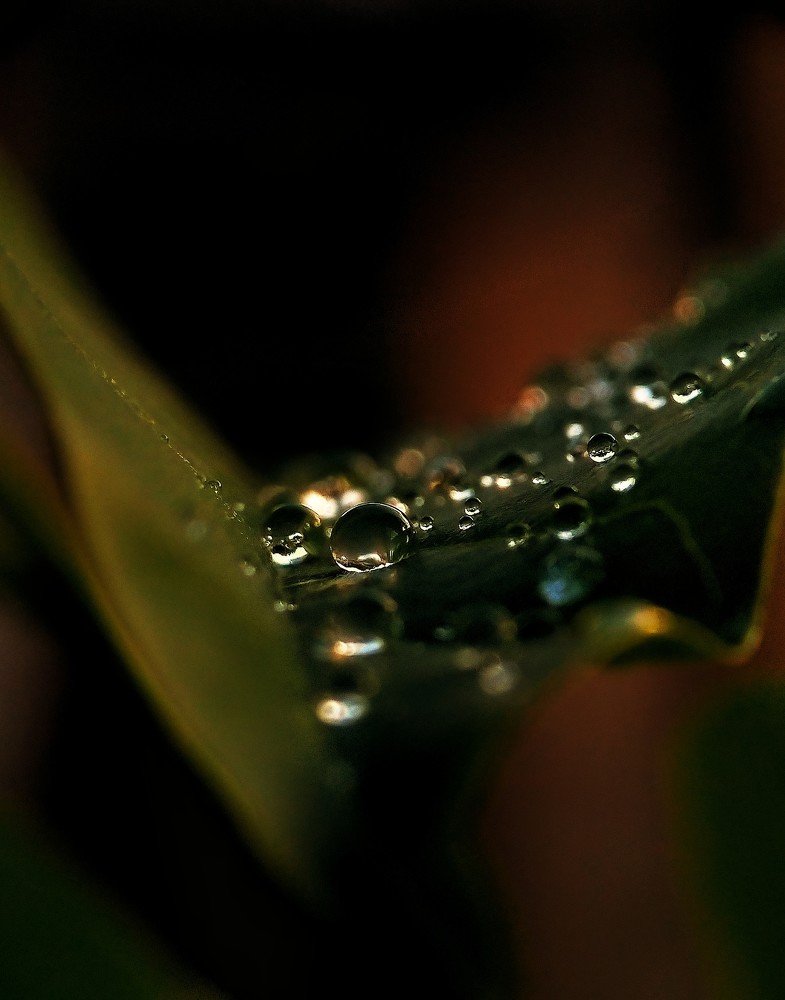 Photo #4726263