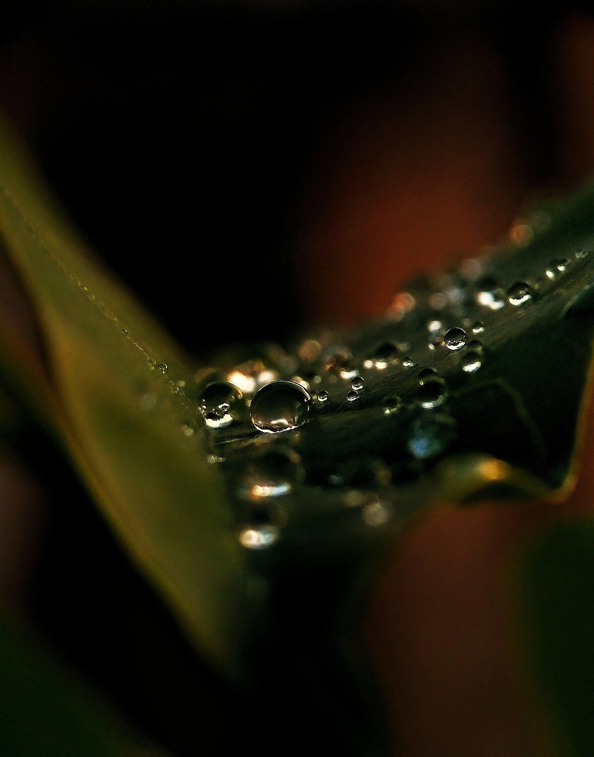Photo #4726263