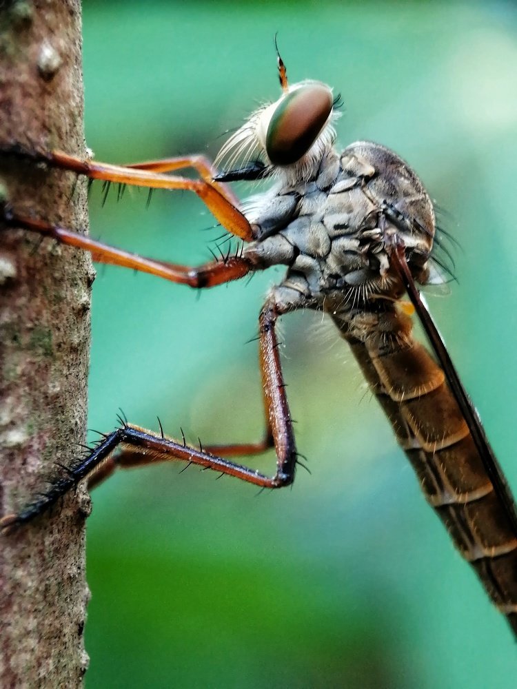 Photograph by Chris Codoy