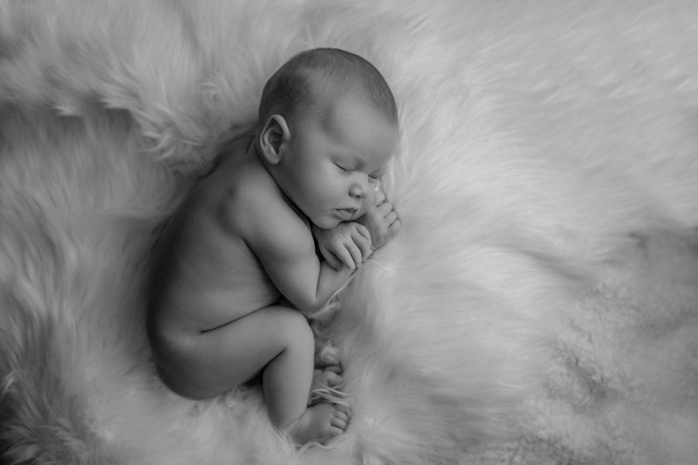 Photograph by Екатерина