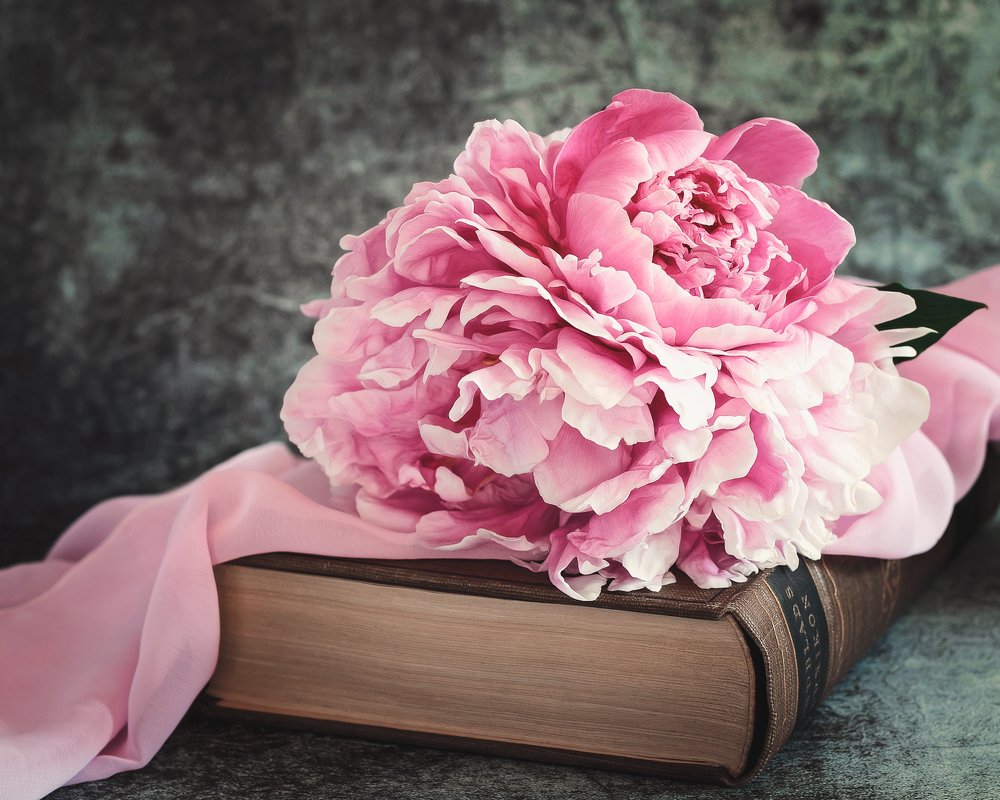 Photograph by Anna Sindikayeva