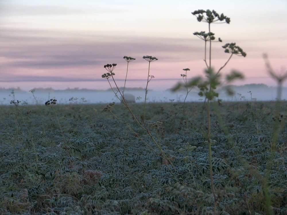 Photo #4726467