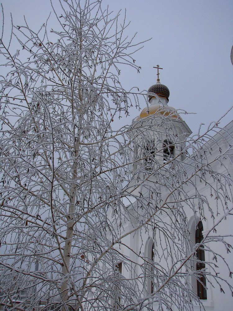 Photo #4726471