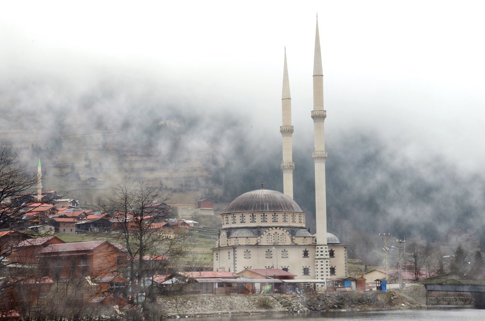 Фотография автора Qassem Ahmed Alzarra